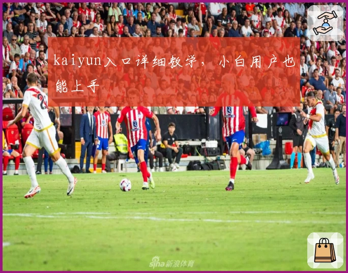 kaiyun入口详细教学，小白用户也能上手