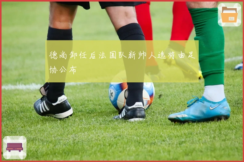 德尚卸任后法国队新帅人选将由足协公布