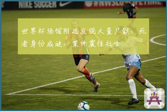 世界杯场馆附近发现大量尸骸，死者身份成谜，案件震惊社会